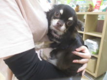 家族が決まりました(*ﾟ∀ﾟ*)