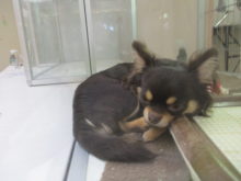 山の日(ﾟ∀ﾟ)