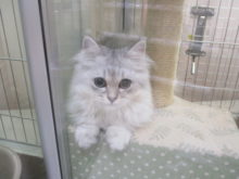 マイペース( ´ ▽ ` )