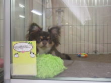 アタックΣ(ﾉ≧ڡ≦)