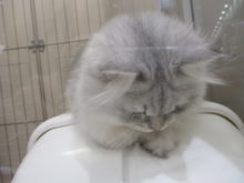 (^o^)ﾉ ＜ ☆GOODNIGHT☆