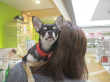 家族が決まりました(*ﾟ▽ﾟ*)