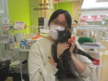 家族が決まりました(｡･ ω<)