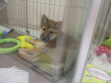 (　˘ ˘) ﾂｰﾝ