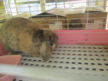 プンプン！(○｀ε´○)