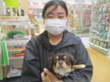 家族が決まりました(*ﾟ▽ﾟ*)