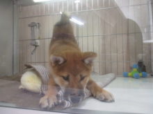 わちゃわちゃ(=´∀｀)