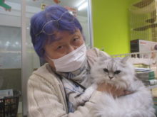 家族が決まりました(*´`)