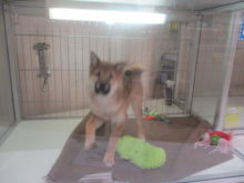 速すぎて…(´Д` )