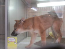 (˘^˘ )ﾌﾟｲｯ