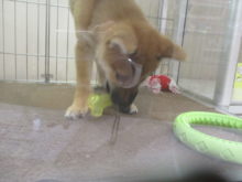 爆上がりヽ(；▽；)ノ