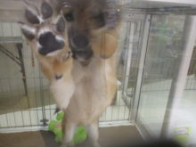 ドーン(*ﾟ▽ﾟ*)