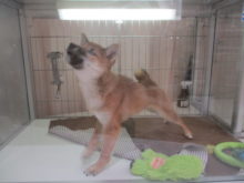 ストレッチ！！