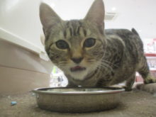 ご飯タイム(*ﾟ▽ﾟ*)