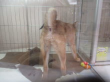 謹賀新年(´∀｀)