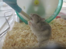 成人式(((o(*ﾟ▽ﾟ*)o)))