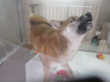 構って(´・ω・｀)