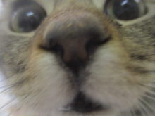 近すぎる(´Д｀)