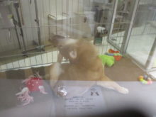 カイカイ(*´▽｀*)