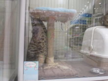 グイーーーん(=´∀｀)