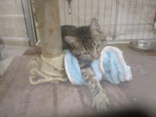 まったり(*´ω｀*)