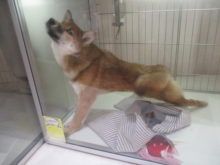 ぐいーん( ´▽｀)