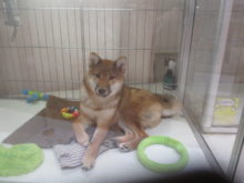 グシャグシャ(*_*)