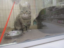 ルンルン？(ﾟoﾟ;;