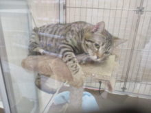 落ちるー！！(´Д｀)