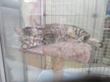 ダラーン(´Д｀)