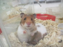 はいどーぞ(^^♪