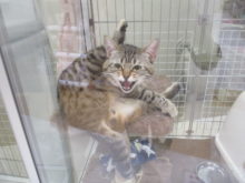 どうなってるのヽ(´ー｀)ノ