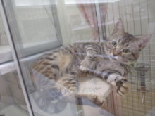 毛づくろい(´∀｀)