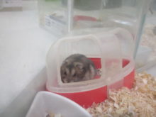 パッチリ(・∀・)