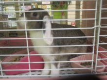 元気いっぱい(*≧∀≦*)