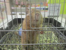 小さい(*´ω｀*)