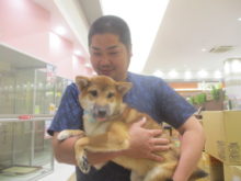 家族が決まりました(*ﾟ▽ﾟ*)