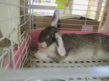 ゆったり(´・ω・｀)