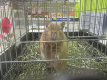 固まる(ﾟ∀ﾟ)