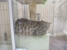 寝てる？( ´△｀)