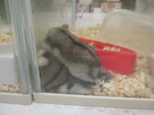 重くない？(^O^)