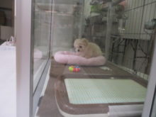 ゴソゴソ(￣▽￣)