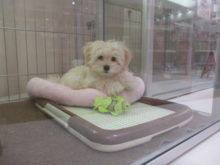 僕だよ(￣ー￣)