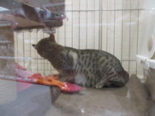 のびのび(*´ω｀*)