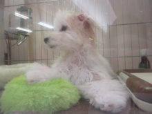 大好き(*´ω｀*)