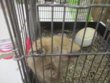 ぐいーん( ´ ▽ ` )