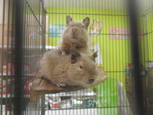 いつも一緒(^_^)