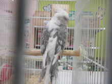 寝てる？(￣ー￣)