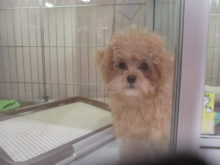 ガン見(・∀・)