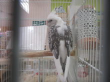 美しい(*´д｀*)